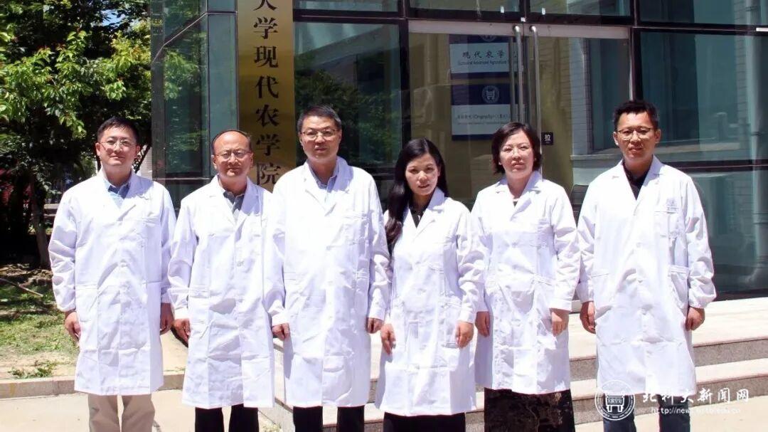 image6 永利3045050官网站玩法介绍科学